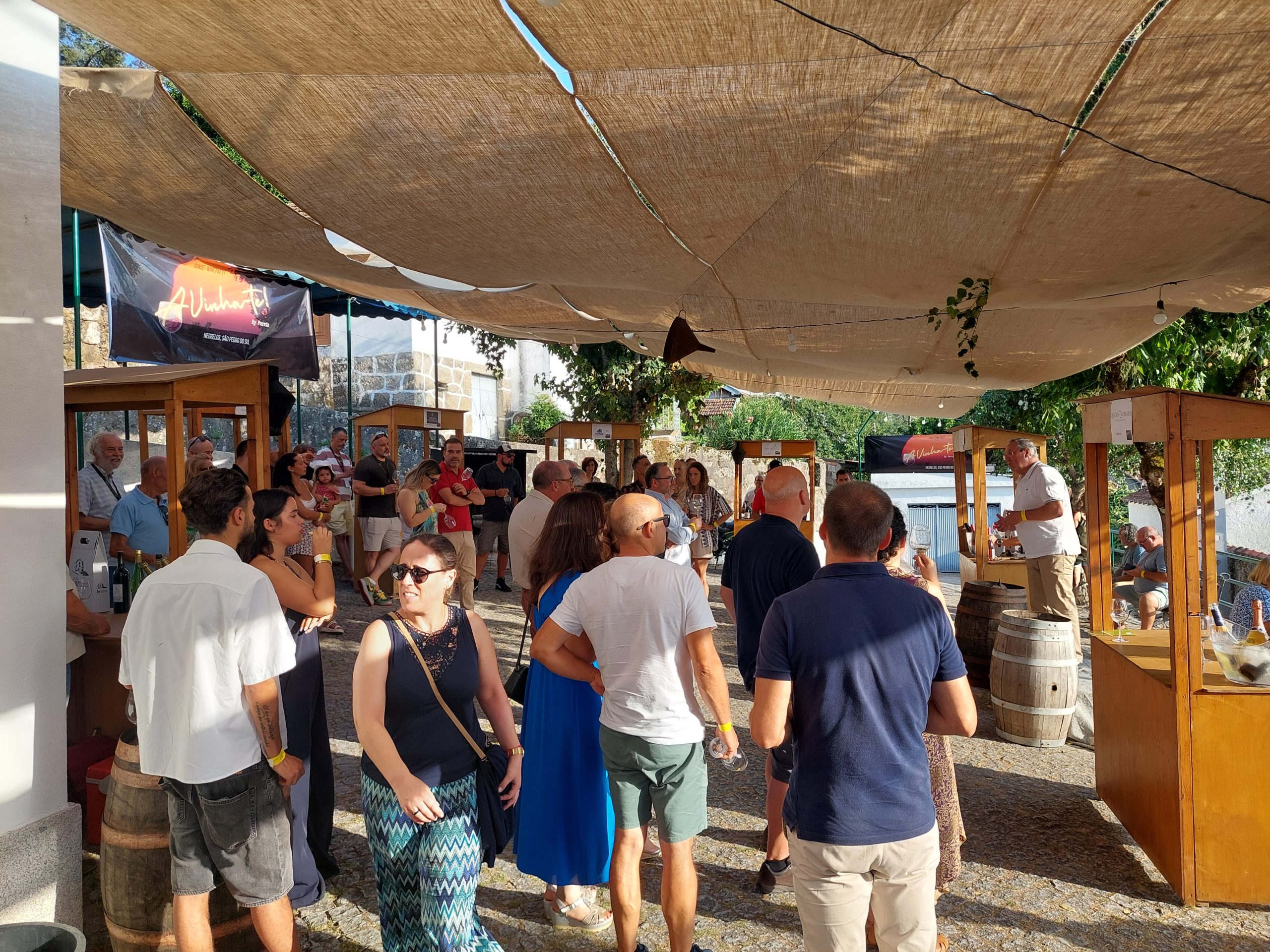 Evento anual → Avinha-te!