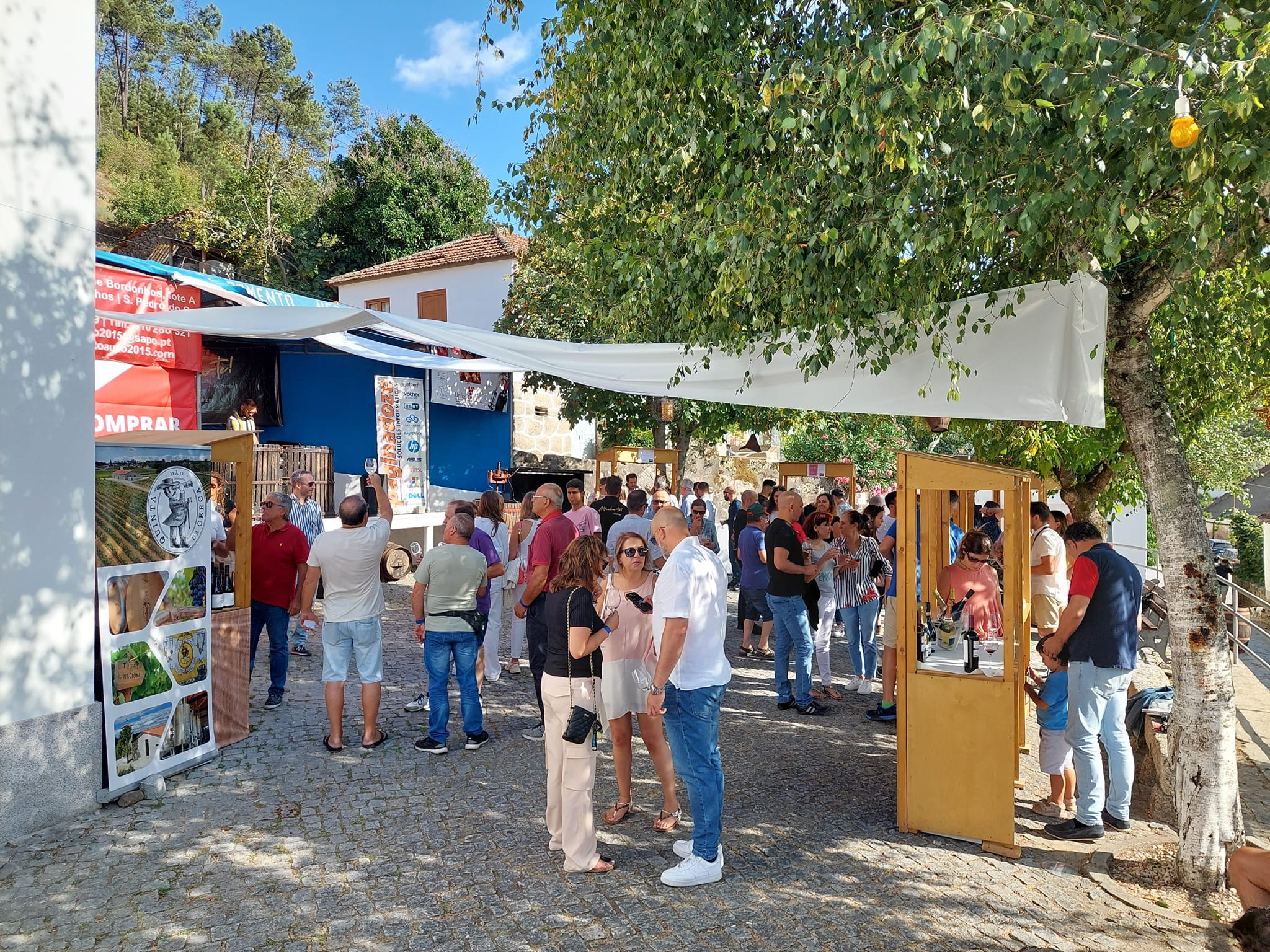 Evento anual → Avinha-te!